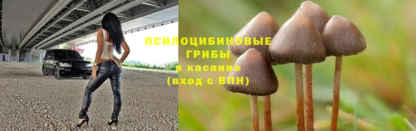 a pvp Аркадак