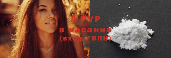 гашик Арсеньев