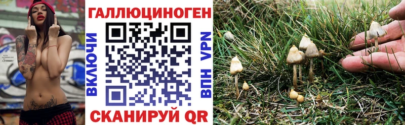 Псилоцибиновые грибы MAGIC MUSHROOMS  Купить закладки  Ермолино 